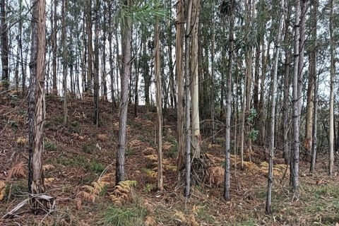 Helårsgrund i Eixo e Eirol, Aveiro, Eixo e Eirol - € 128.000 | Ref: AV25/209 - foto 13