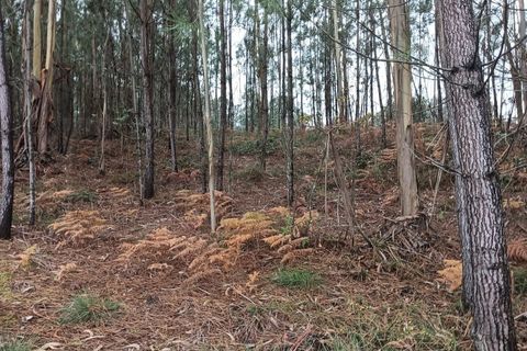 Helårsgrund i Eixo e Eirol, Aveiro, Eixo e Eirol - € 128.000 | Ref: AV25/209 - foto 14