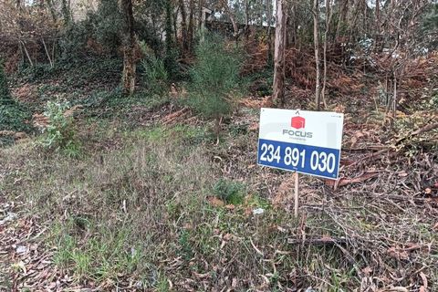 Helårsgrund i Eixo e Eirol, Aveiro, Eixo e Eirol - € 128.000 | Ref: AV25/209 - foto 21