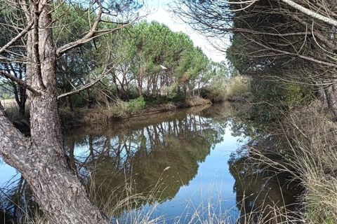 Helårsgrund i Arouca, Aveiro, Arouca - € 85.000 | Ref: AV25/208 - foto 3