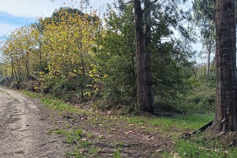 Helårsgrund i Arouca, Aveiro, Arouca - € 85.000 | Ref: AV25/208 - foto 6
