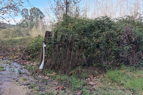 Helårsgrund i Arouca, Aveiro, Arouca - € 85.000 | Ref: AV25/208 - foto 7