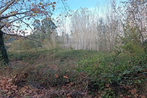 Helårsgrund i Arouca, Aveiro, Arouca - € 85.000 | Ref: AV25/208 - foto 8