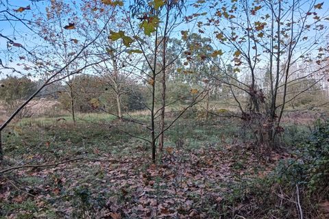 Helårsgrund i Arouca, Aveiro, Arouca - € 85.000 | Ref: AV25/208 - foto 10