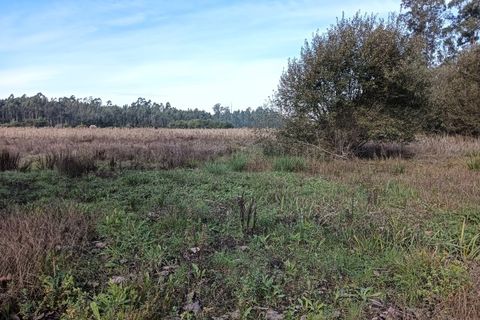 Helårsgrund i Arouca, Aveiro, Arouca - € 85.000 | Ref: AV25/208 - foto 12