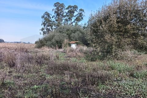 Helårsgrund i Arouca, Aveiro, Arouca - € 85.000 | Ref: AV25/208 - foto 13
