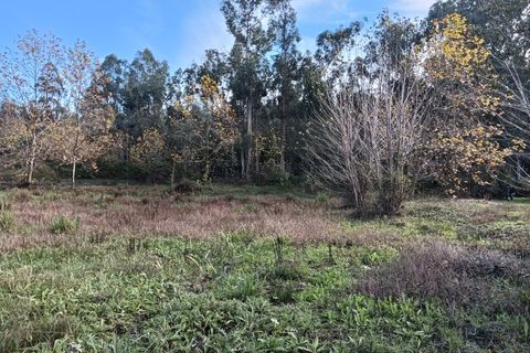 Helårsgrund i Arouca, Aveiro, Arouca - € 85.000 | Ref: AV25/208 - foto 14