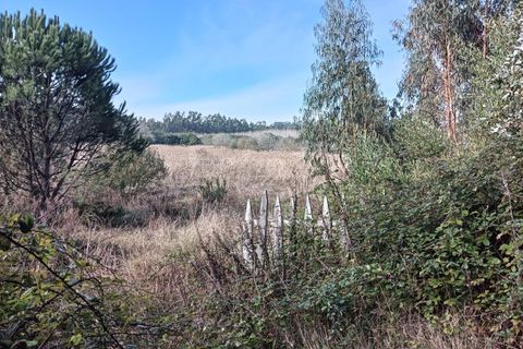 Helårsgrund i Arouca, Aveiro, Arouca - € 85.000 | Ref: AV25/208 - foto 16