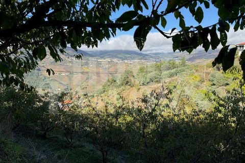Terra a Barro, Aveiro, Barro - € 60.000 | Ref: HT_50211 - foto 3