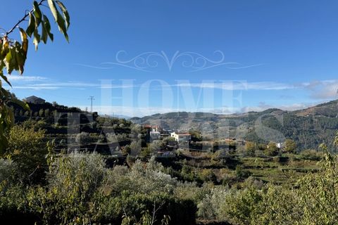 Terra a Barro, Aveiro, Barro - € 60.000 | Ref: HT_50211 - foto 4