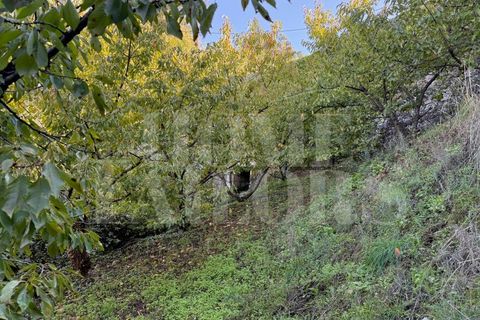 Terra a Barro, Aveiro, Barro - € 60.000 | Ref: HT_50211 - foto 5