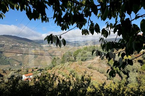 Terra a Barro, Aveiro, Barro - € 60.000 | Ref: HT_50211 - foto 6