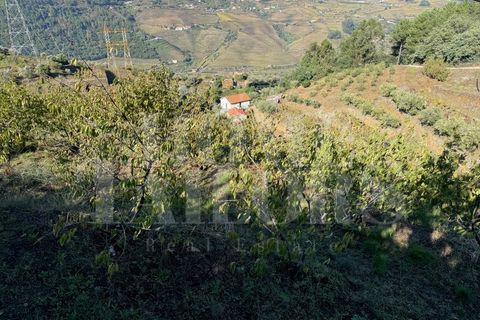 Terra a Barro, Aveiro, Barro - € 60.000 | Ref: HT_50211 - foto 7