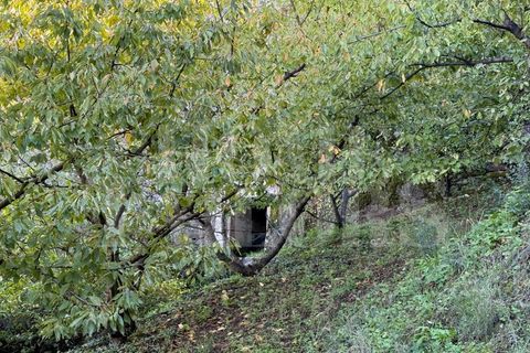 Terra a Barro, Aveiro, Barro - € 60.000 | Ref: HT_50211 - foto 8