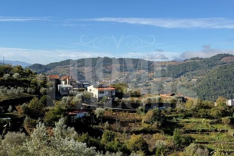 Terra a Barro, Aveiro, Barro - € 60.000 | Ref: HT_50211 - foto 2