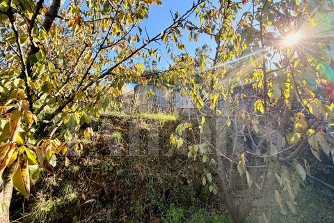 Terra a Barro, Aveiro, Barro - € 60.000 | Ref: HT_50211 - foto 9