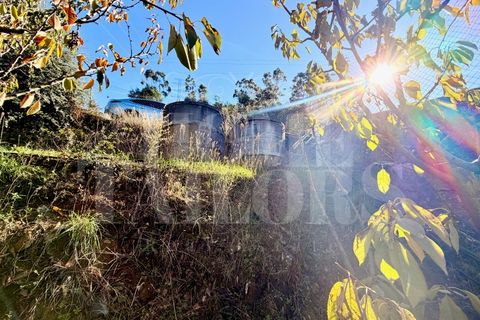 Terra a Barro, Aveiro, Barro - € 60.000 | Ref: HT_50211 - foto 10