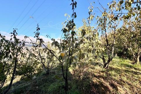 Terra a Barro, Aveiro, Barro - € 60.000 | Ref: HT_50211 - foto 11