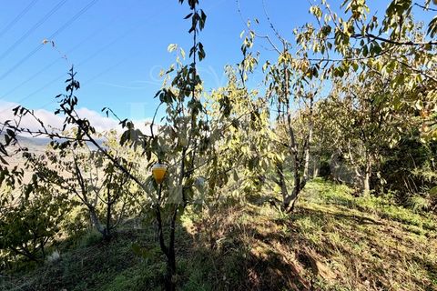 Terra a Barro, Aveiro, Barro - € 60.000 | Ref: HT_50211 - foto 12
