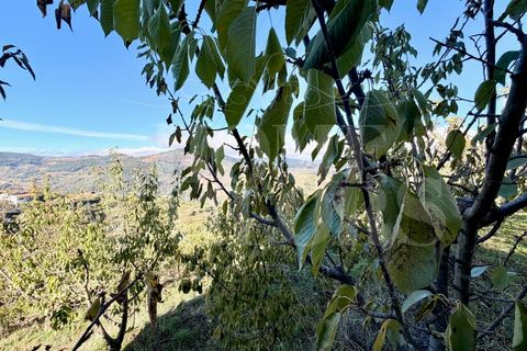 Terra a Barro, Aveiro, Barro - € 60.000 | Ref: HT_50211 - foto 13