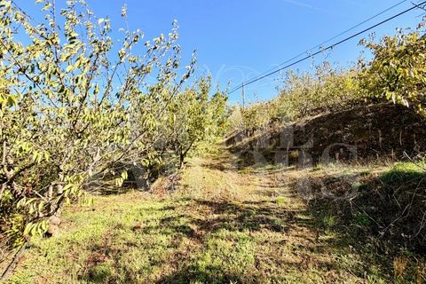 Terra a Barro, Aveiro, Barro - € 60.000 | Ref: HT_50211 - foto 14