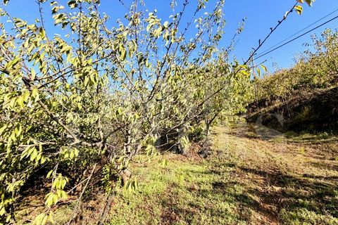 Terra a Barro, Aveiro, Barro - € 60.000 | Ref: HT_50211 - foto 16