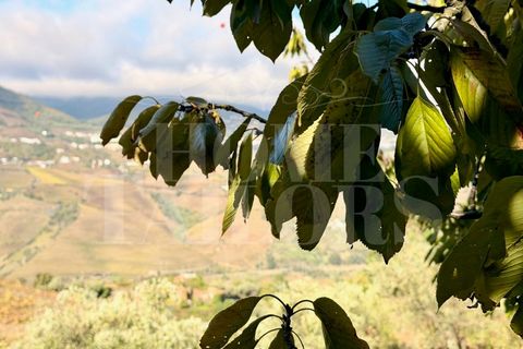 Terra a Barro, Aveiro, Barro - € 60.000 | Ref: HT_50211 - foto 18