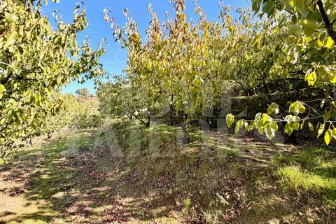 Terra a Barro, Aveiro, Barro - € 60.000 | Ref: HT_50211 - foto 19