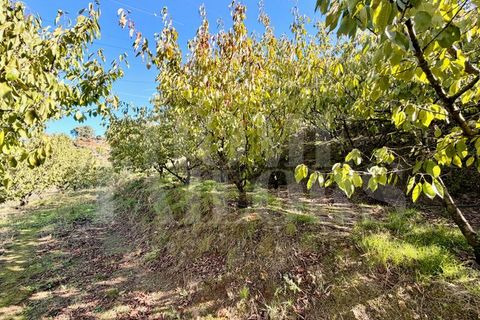 Terra a Barro, Aveiro, Barro - € 60.000 | Ref: HT_50211 - foto 20