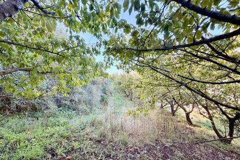 Terra a Barro, Aveiro, Barro - € 60.000 | Ref: HT_50211 - foto 21