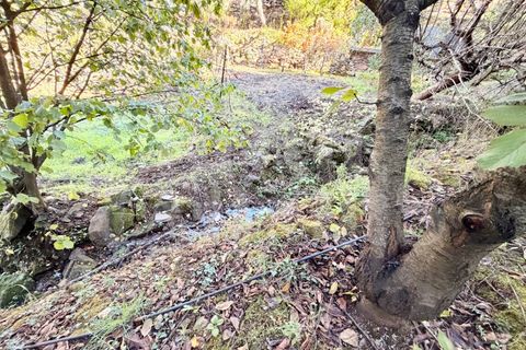 Terra a Barro, Aveiro, Barro - € 60.000 | Ref: HT_50211 - foto 22