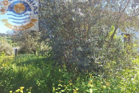 Villa i Ourem, Santarem, Ourem - € 33.000 | Ref: CAS_706 - foto 4
