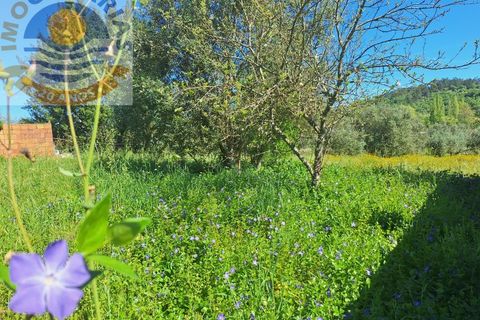Villa i Ourem, Santarem, Ourem - € 33.000 | Ref: CAS_706 - foto 7