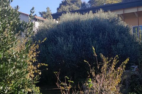 Villa a Montegalda, Vicenza, Montegalda - € 245.000 | Ref: MM576 - foto 42