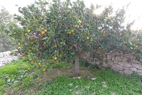 Villa i Ragusa, Ragusa, Ragusa - € 60.000 | Ref: CS181 - foto 5