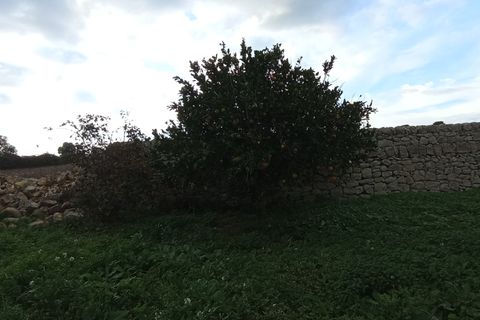 Villa i Ragusa, Ragusa, Ragusa - € 60.000 | Ref: CS181 - foto 3