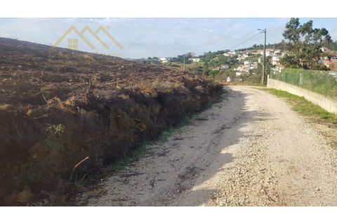 Helårsgrund i Matacaes, Lisbon, Matacaes - € 250.000 | Ref: 25CS0643 - foto 4