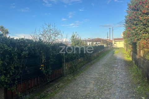 Terra a Riba de Ave, Braga, Riba de Ave - € 45.000 | Ref: ZMPT583519 - foto 3