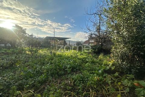 Terra a Riba de Ave, Braga, Riba de Ave - € 45.000 | Ref: ZMPT583519 - foto 4