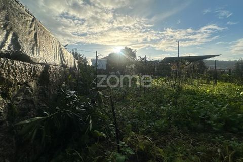 Terra a Riba de Ave, Braga, Riba de Ave - € 45.000 | Ref: ZMPT583519 - foto 5