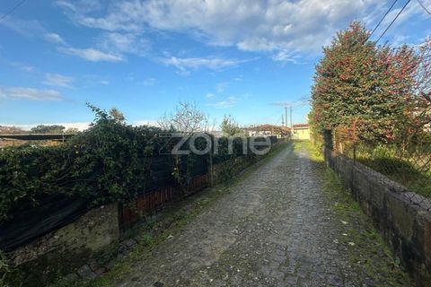 Terra a Riba de Ave, Braga, Riba de Ave - € 45.000 | Ref: ZMPT583519 - foto 8