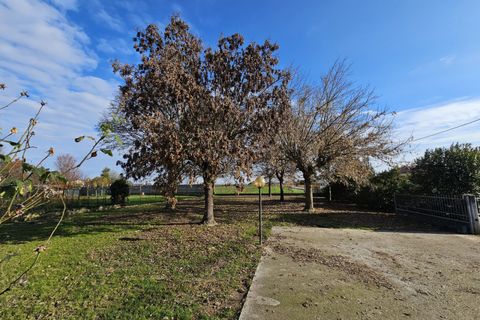Villa a Urbana, Padua, Urbana - € 150.000 | Ref: BIF 481 - foto 5