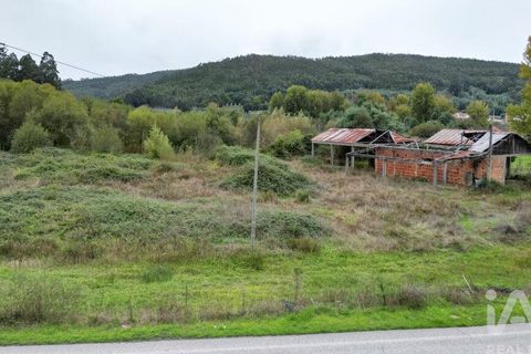 Terra a Miranda do Corvo, Coimbra, Miranda do Corvo - € 250.000 | Ref: 130392 - foto 2