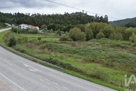 Terra a Miranda do Corvo, Coimbra, Miranda do Corvo - € 250.000 | Ref: 130392 - foto 3