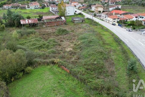 Terra a Miranda do Corvo, Coimbra, Miranda do Corvo - € 250.000 | Ref: 130392 - foto 5