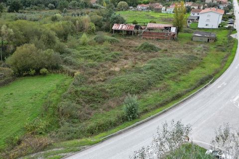 Terra a Miranda do Corvo, Coimbra, Miranda do Corvo - € 250.000 | Ref: 130392 - foto 6