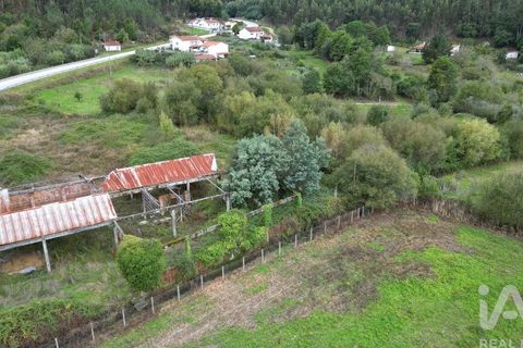 Terra a Miranda do Corvo, Coimbra, Miranda do Corvo - € 250.000 | Ref: 130392 - foto 7