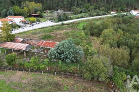 Terra a Miranda do Corvo, Coimbra, Miranda do Corvo - € 250.000 | Ref: 130392 - foto 8
