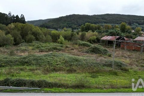 Terra a Miranda do Corvo, Coimbra, Miranda do Corvo - € 250.000 | Ref: 130392 - foto 10