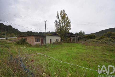 Terra a Miranda do Corvo, Coimbra, Miranda do Corvo - € 250.000 | Ref: 130392 - foto 12